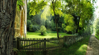 Park fence tree person walking - medieval free wallpaper for desktop