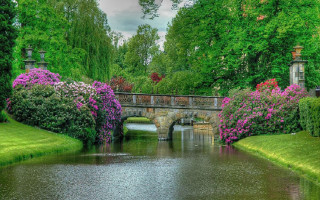 Bridge river green trees flower - a bridge in the background free wallpaper for desktop
