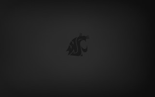 Black background black cat side - derek hill free wallpaper