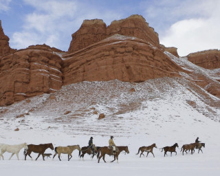 Horses snow field mountain man - western free wallpaper