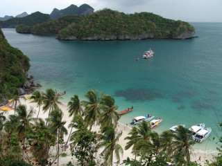 Beach boats palm trees island - a small island in the background free wallpaper