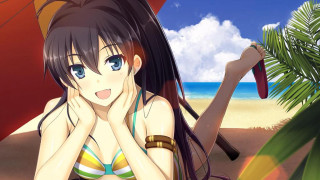 Bikini woman beach umbrella palm - official art free wallpaper for desktop