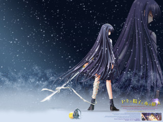 Anime longhair snow walking dog - a leash free wallpaper for desktop