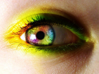 Close up multicolored iris persons - a close up of a persons eye free wallpaper
