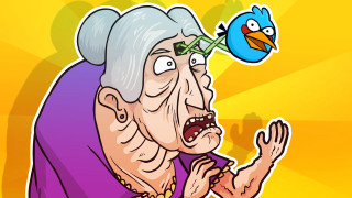 Old woman bird on head - her head and a bird free wallpaper
