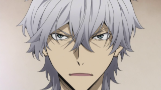 Man grey hair white shirt - grey hair free wallpaper
