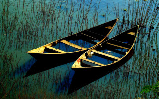 Two canoes water tall grass - tranquil free wallpaper