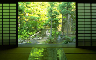 Glass table forest view window - kyoto studio free wallpaper