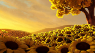 Sunflower field tree sunset clouds 2 - a field of sunflowers free wallpaper for desktop