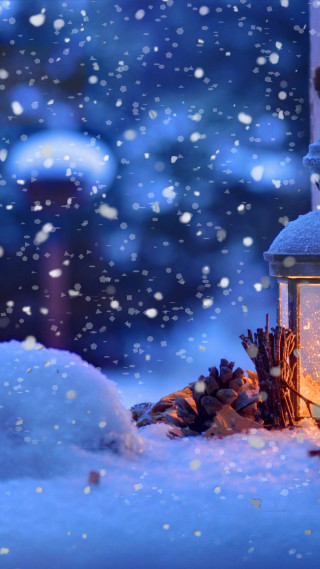 Lantern lit snow pinecones ground - a lantern free wallpaper for mobile
