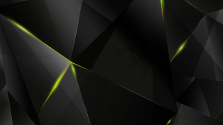 Black green abstract background lizard - a lizard free wallpaper