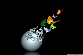 White ball butterflies black background - a white ball free wallpaper