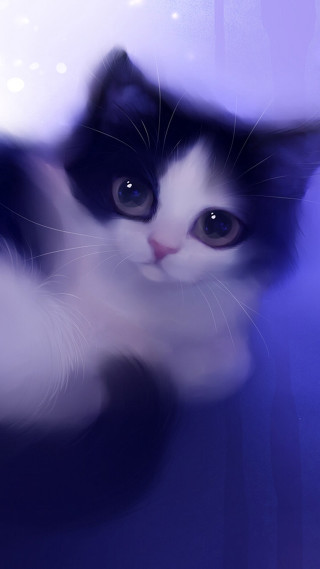 Black white cat purple background - free cats wallpaper for mobile