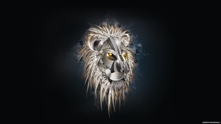 Lion head black background white - yellow eye free wallpaper