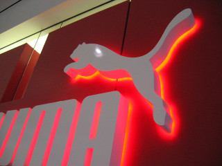 Neon sign cat building side - the side of a building free wallpaper