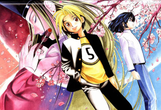 Anime characters group pink flowers - manga and anime 1 9 9 9 free wallpaper for desktop
