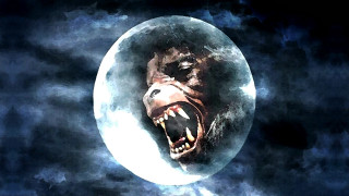 Bear growling moon mouth open - the moon free wallpaper