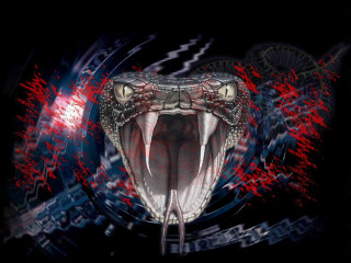 Snake mouth open tongue red - its mouth open free wallpaper for desktop