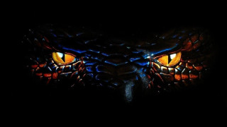 Close up yellow eyes dark - a close up of a face free wallpaper