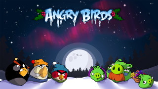 Angry birds snow night full - angry bird free wallpaper