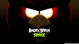 Angry birds space red eye - a red eye free wallpaper for desktop
