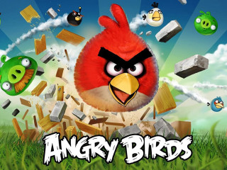 Red angry birds field grass - angry bird free wallpaper