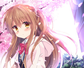 Girl bow tie cherry blossoms - pink flower and leaves free wallpaper