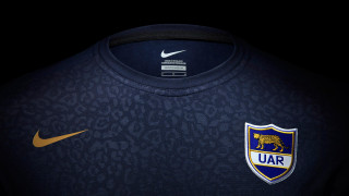 Lion shirt nike logo silkscreen - dai xi free wallpaper