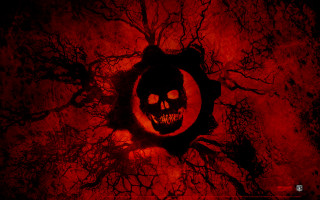 Creepy skull hole tree branch - creepy free wallpaper