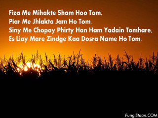 Sunset beauty peaceful colors nature - single free wallpaper