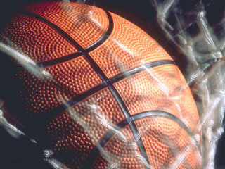 Basketball ball fence chainlink city - a blurry background of branches free wallpaper