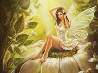Fairy sitting flower wings spread - fantasy artwork free wallpaper