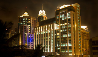 City night lights palm trees - a few building free wallpaper