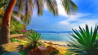 Tropical beach palm trees boat 2 - a tropical beach free wallpaper