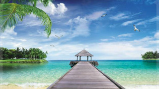 Pier beach hut birds blue - a hut free wallpaper