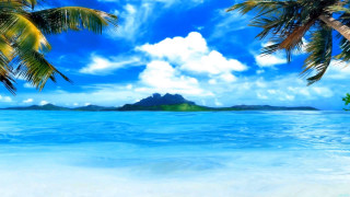 Tropical beach palm trees mountain 3 - a tropical beach free wallpaper