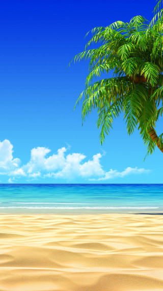Palm beach sky ocean mountains - a sandy beach free wallpaper for mobile