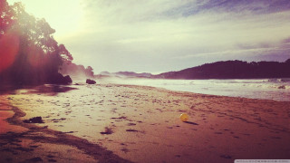 Beach yellow object tree blue - a yellow object free wallpaper for desktop