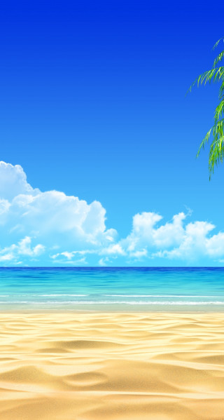 Beach palm tree blue sky - free beach wallpaper for mobile