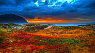 Red flowers mountain cloudy sky 2 - a body of water free wallpaper for desktop