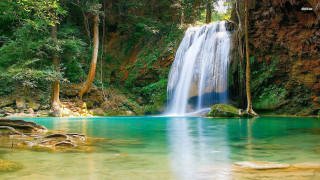 Waterfall forest blue pool trees - a waterfall in a forest free wallpaper for desktop