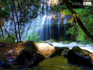 Waterfall forest rocks trees stream 13 - a waterfall in a forest free wallpaper for desktop