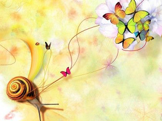 Snail flower butterflies yellow background - craola free wallpaper