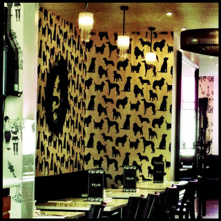 Dog pattern wall mirror clock - a clock free wallpaper for tablet