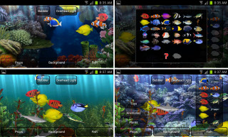 Fish sea world screens types - a series free wallpaper