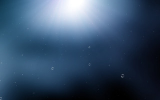 Bright sun shining water droplets - the surface of the water free wallpaper