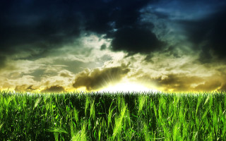 Field grass sun clouds dark - a dark sky free wallpaper