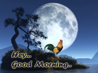 Rooster island fullmoon hey good - a rooster free wallpaper