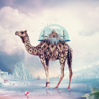 Camel dome water building pink - digital art free wallpaper for tablet