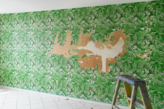 Green wall painting ladder outdoors - a green wall free wallpaper